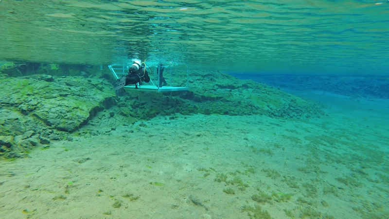 The Dive