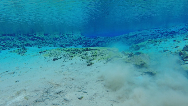 The Dive