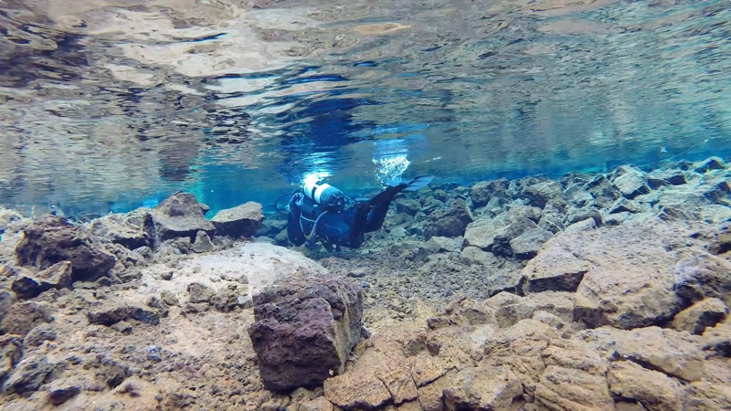 The Dive