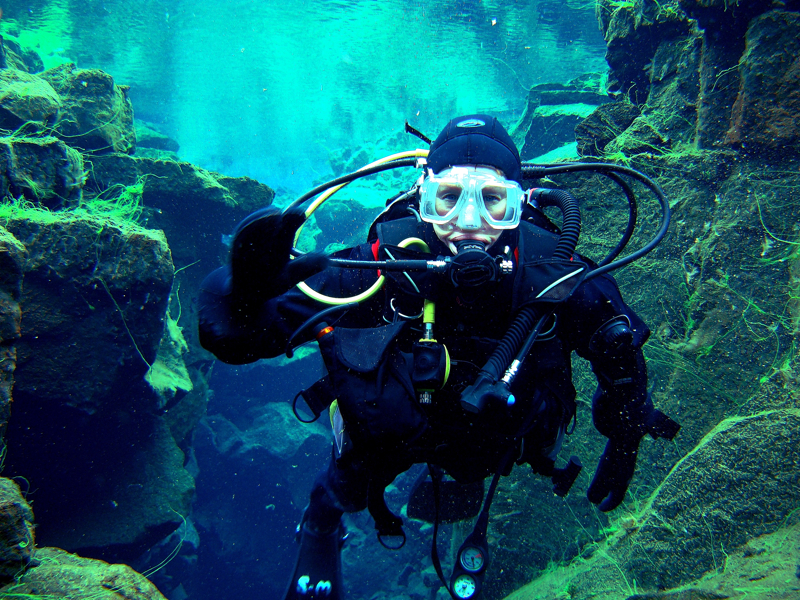 The Dive