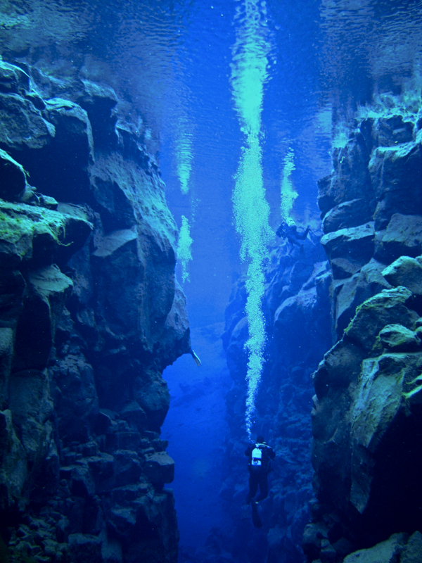The Dive